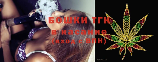 прущие грибы Белокуриха