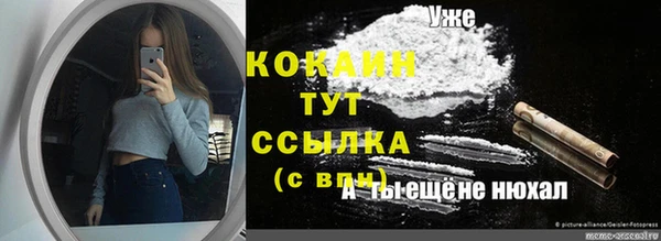 сатива Белоозёрский