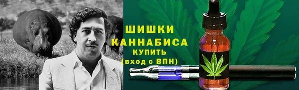 сатива Белоозёрский