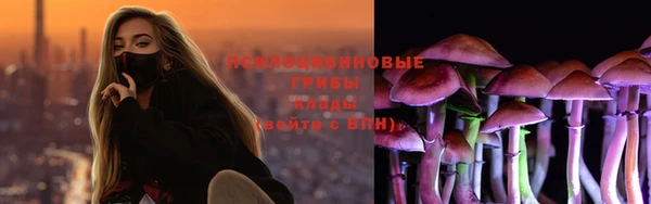 мяу мяу кристалл Богданович