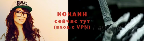 прущие грибы Белокуриха