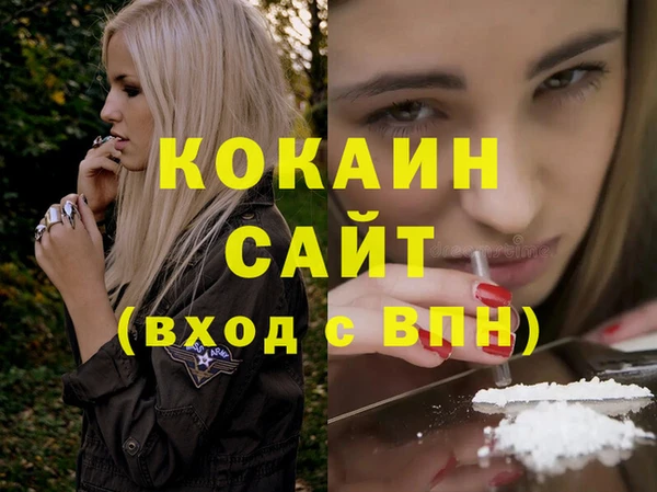прущие грибы Белокуриха