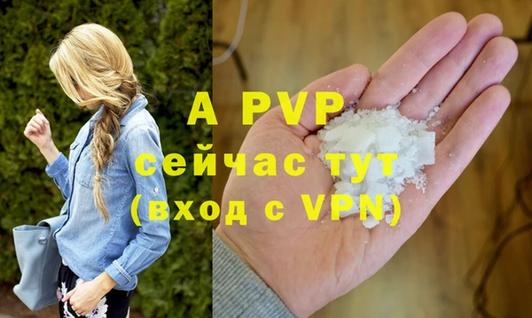 сатива Белоозёрский