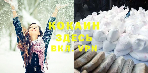 прущие грибы Белокуриха