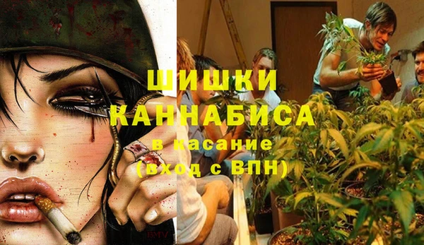 прущие грибы Белокуриха