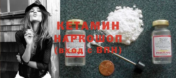 прущие грибы Белокуриха